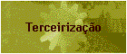 Terceiriza��o